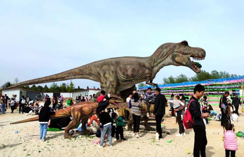 商丘古城旅游區再添新玩點 全新游樂園即將盛大開園，歡樂升級等你來探！